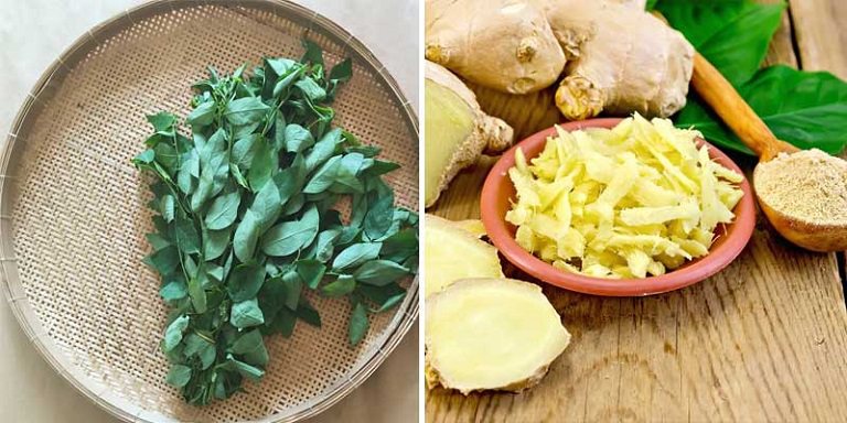 Trị nám bằng rau ngót và gừng giúp da sáng mịn mờ nám